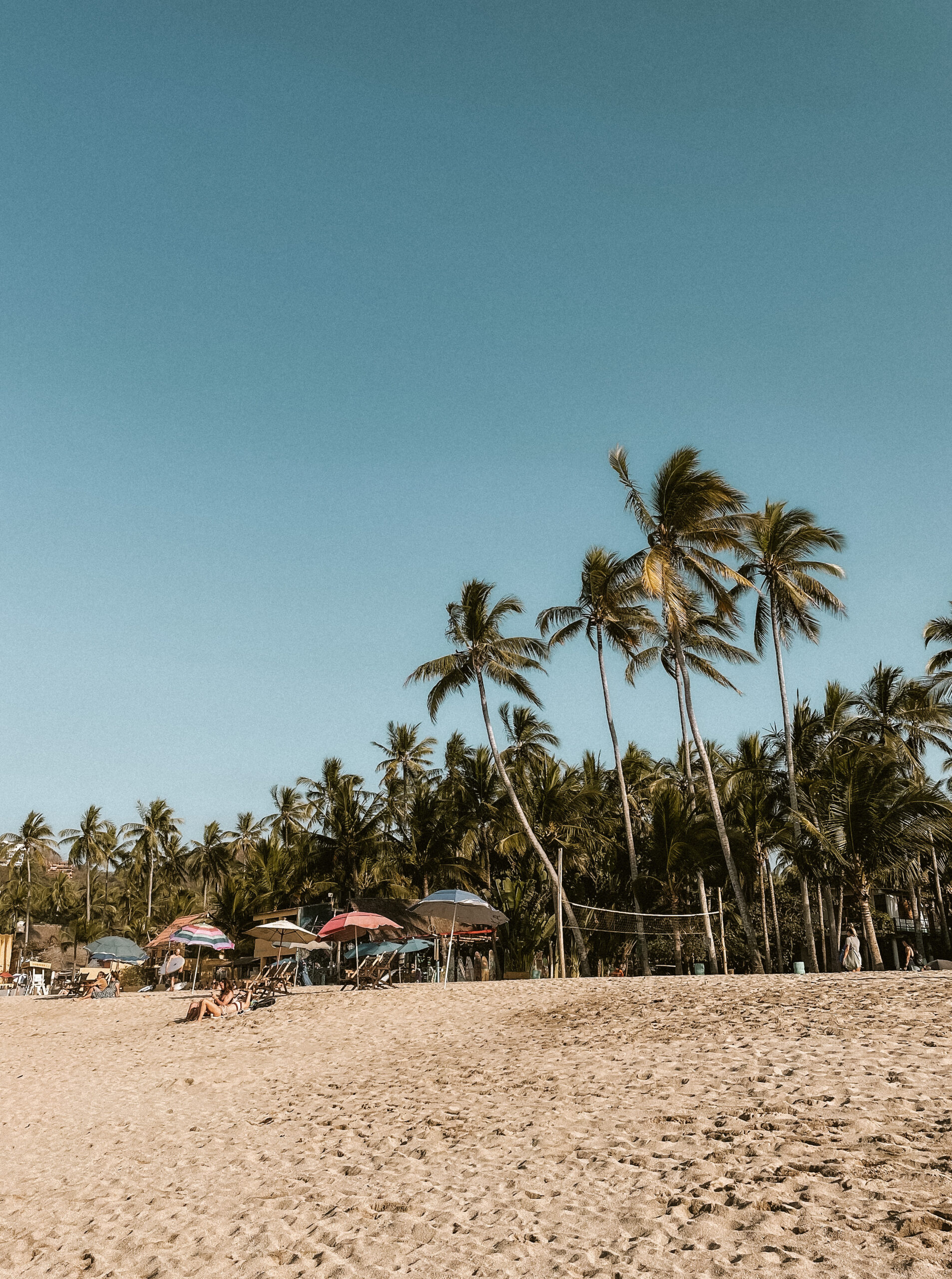 beautiful beach in sayulita with palm trees and sun umbrellas